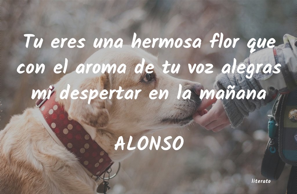 Frases de ALONSO