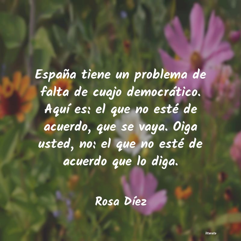 Frases de Rosa Díez