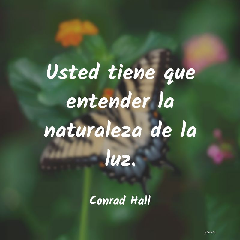 Frases de Conrad Hall