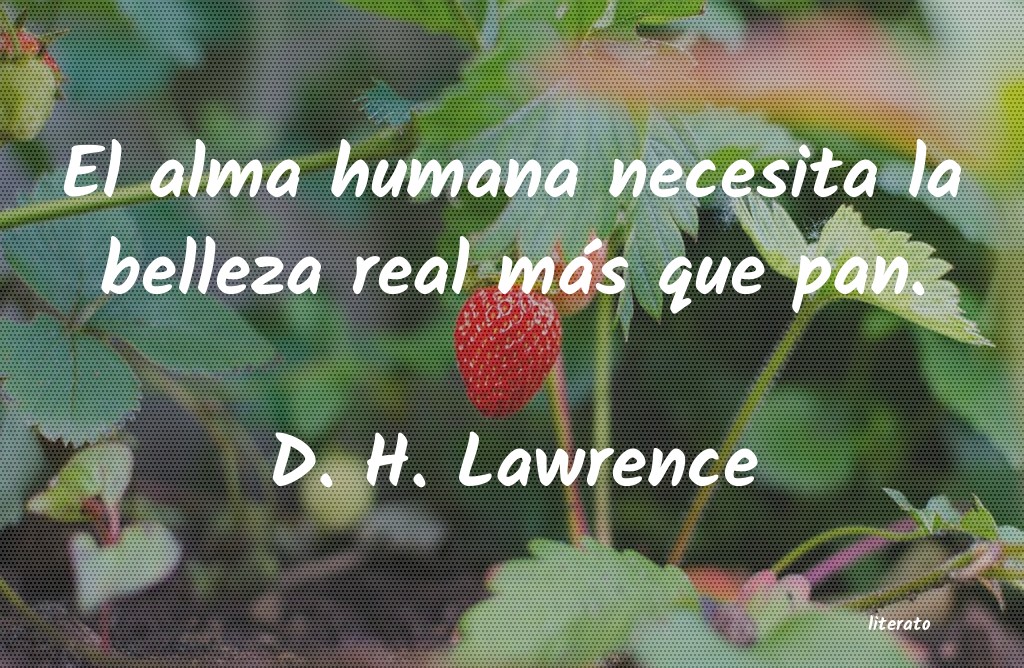 frases de D. H. Lawrence