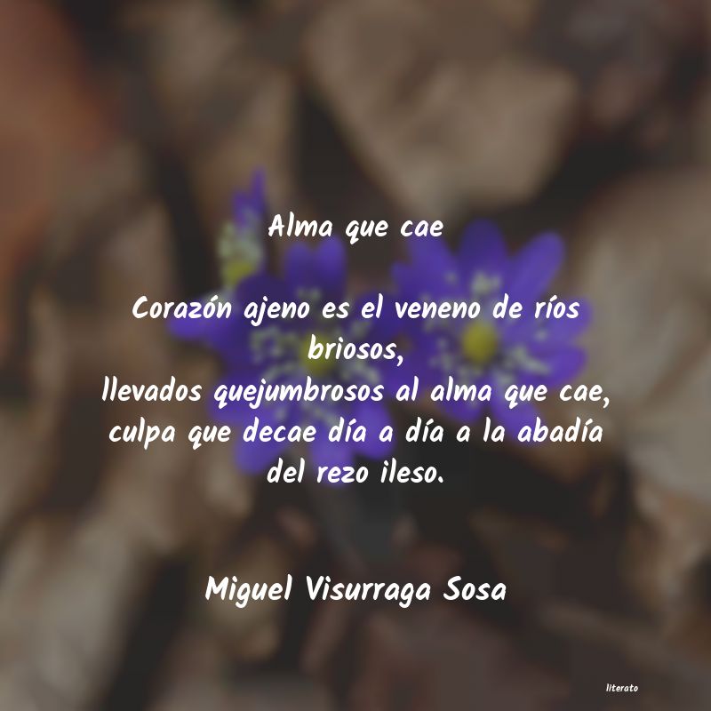 Frases de Miguel Visurraga Sosa