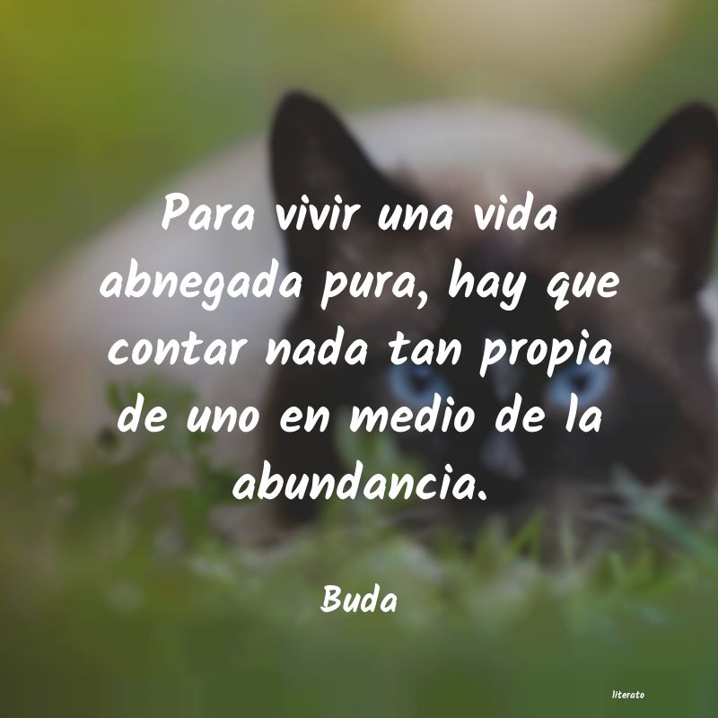 frases de Buda