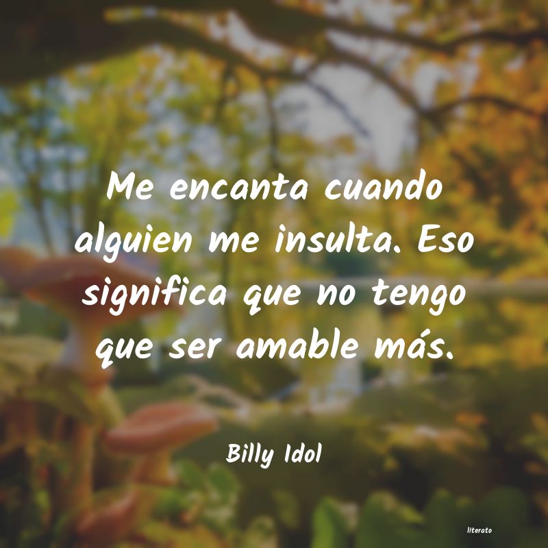 Frases de Billy Idol