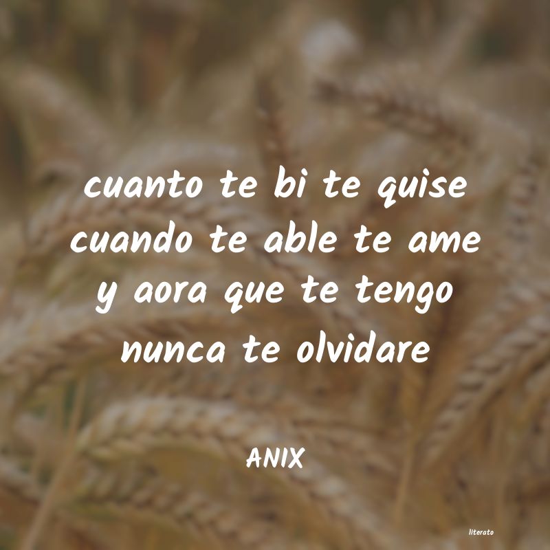 Frases de ANIX