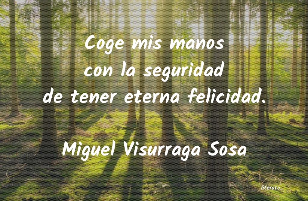 frases de Miguel Visurraga Sosa