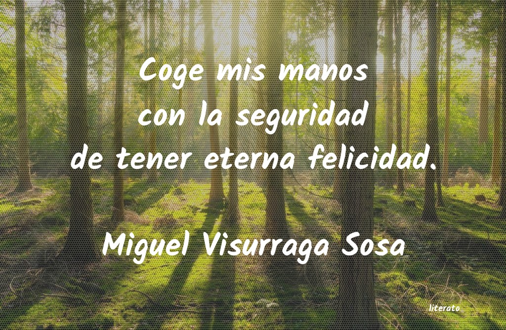 Frases de Miguel Visurraga Sosa