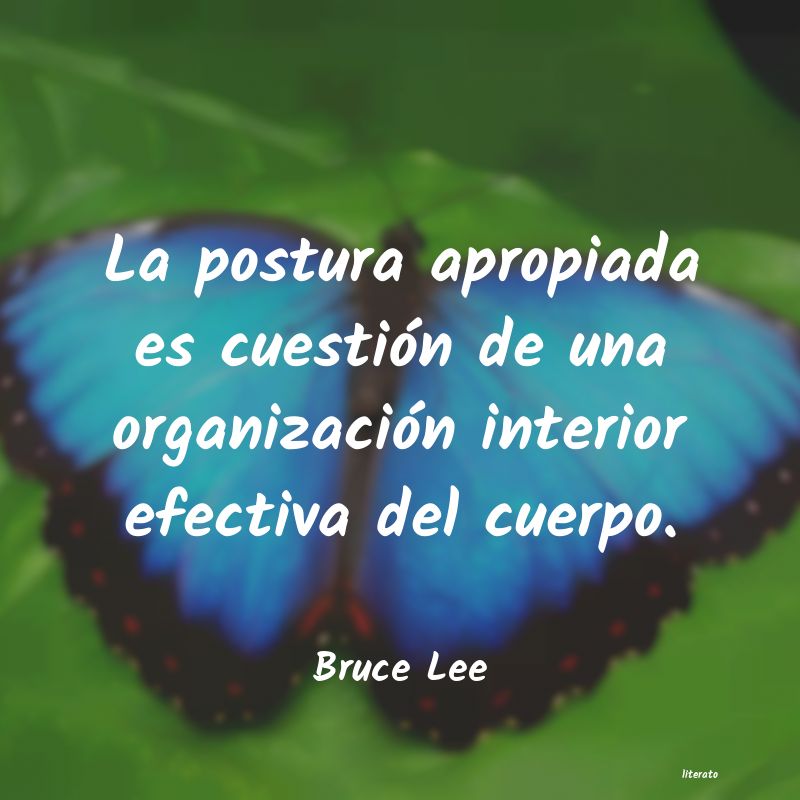 frases de Bruce Lee