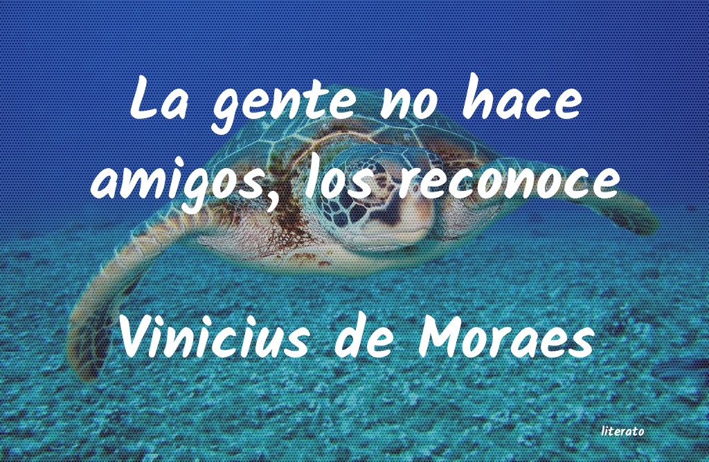 Frases de Vinicius de Moraes