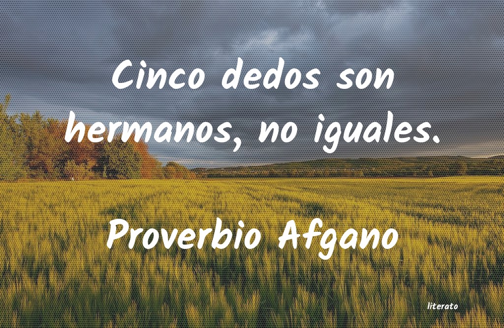 frases de Proverbio Afgano