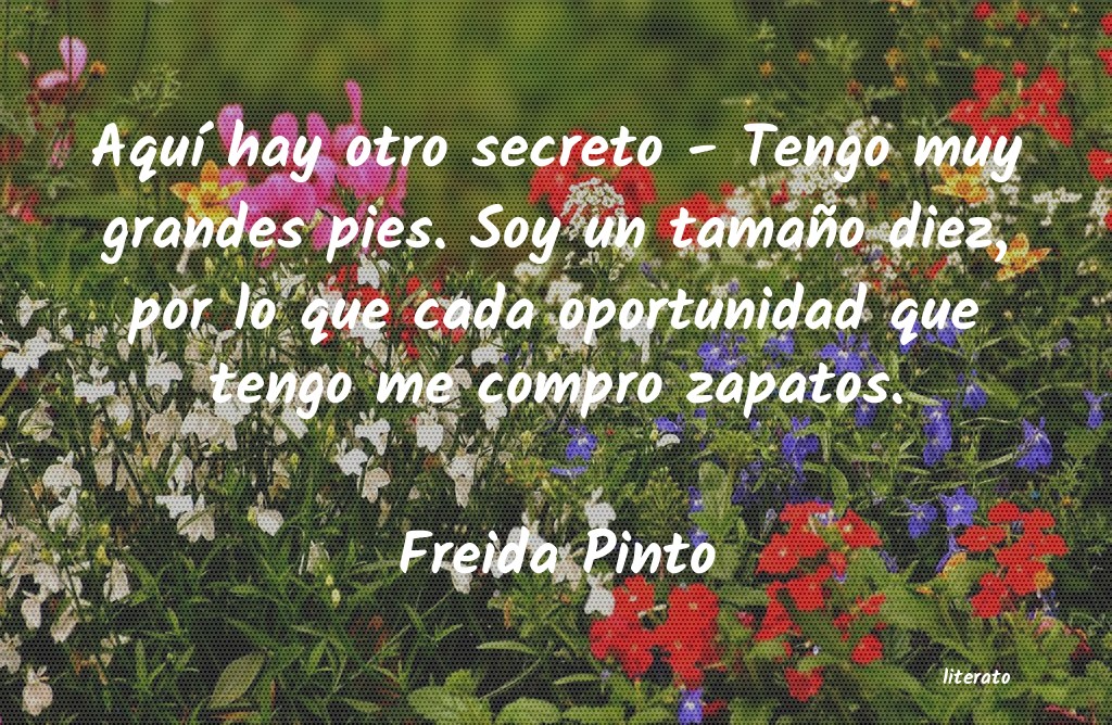 Frases de Freida Pinto