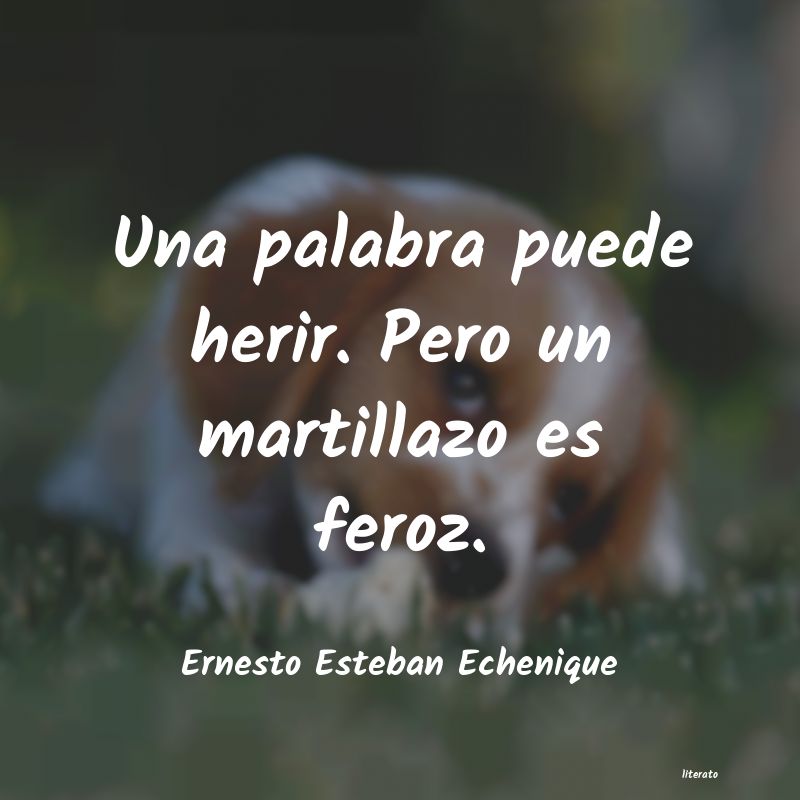 frases de Ernesto Esteban Echenique
