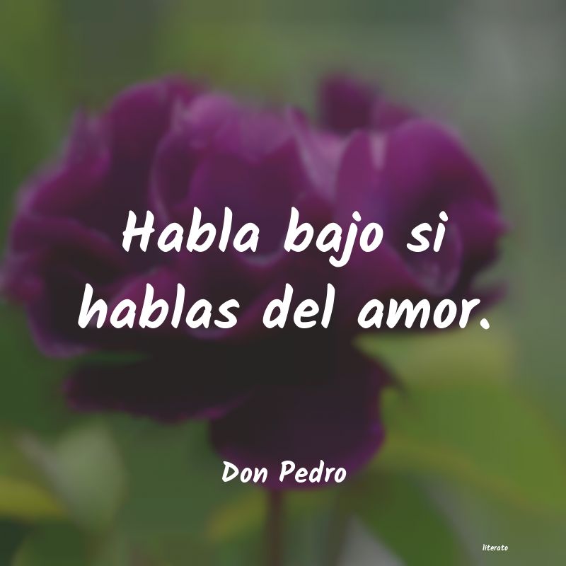 frases de Don Pedro