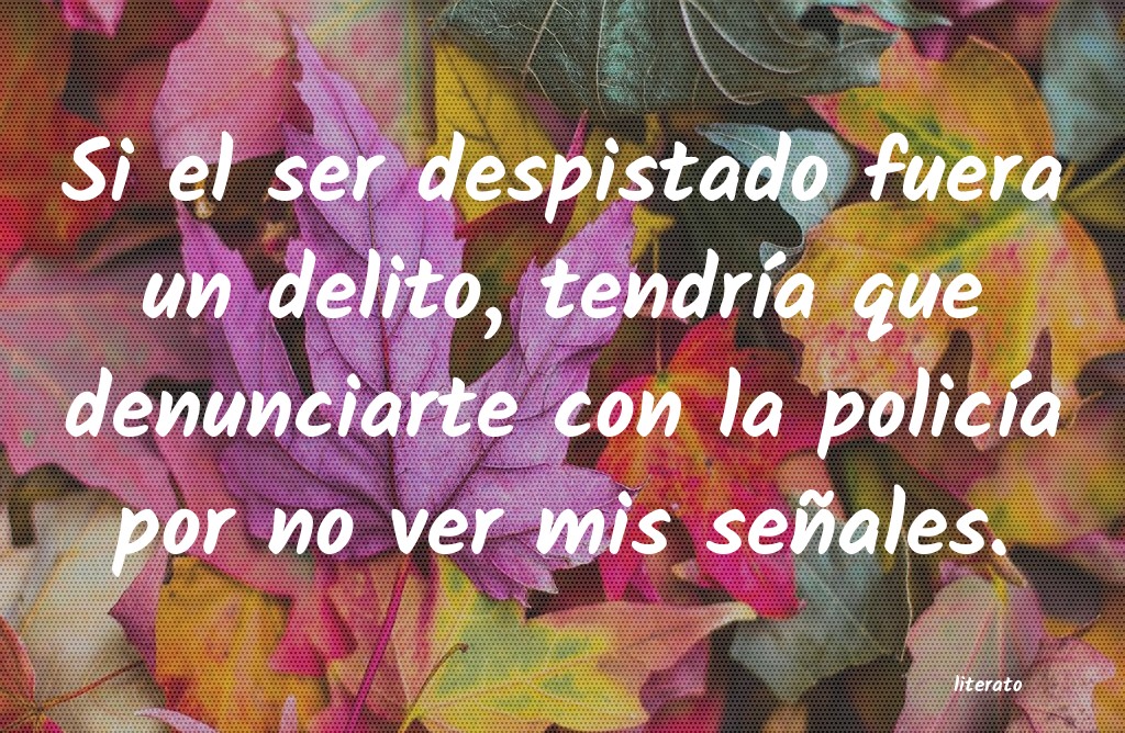frases