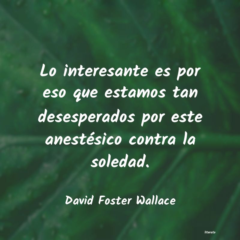 Frases de David Foster Wallace