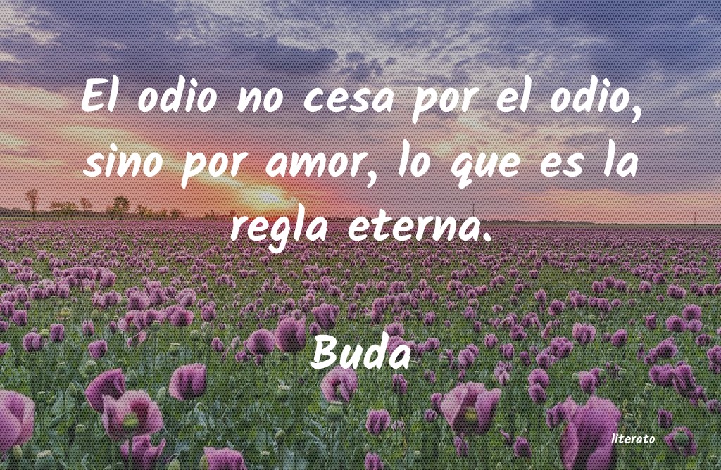 Frases de Buda