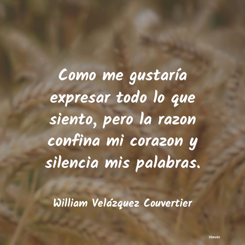 frases de William Velázquez Couvertier