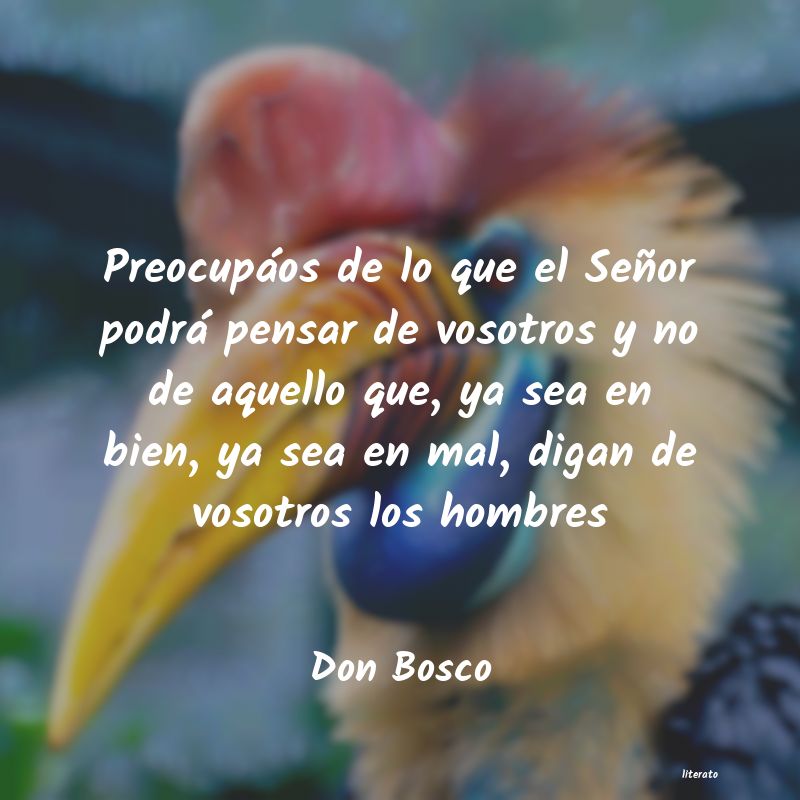 Frases de Don Bosco