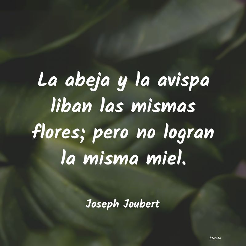 Frases de Joseph Joubert