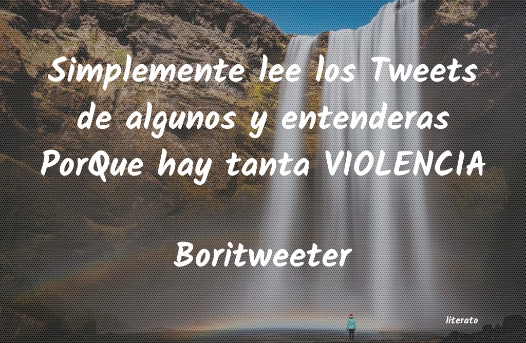 Frases de Boritweeter