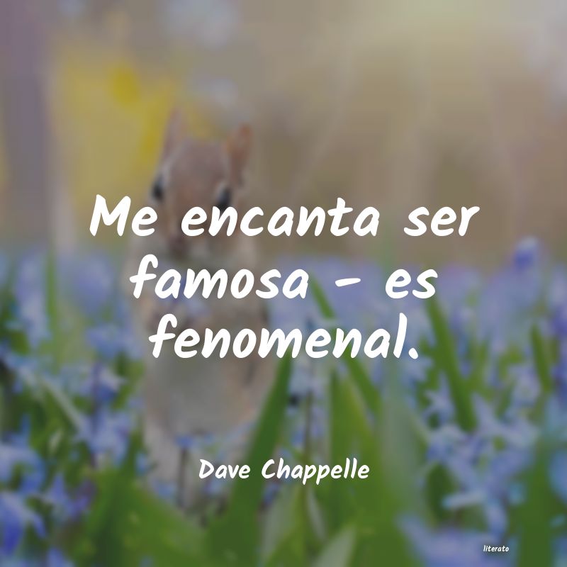 Frases de Dave Chappelle