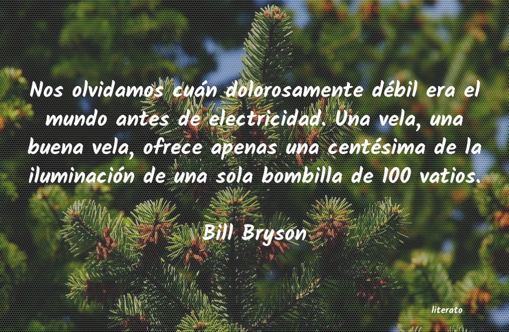 Frases de Bill Bryson