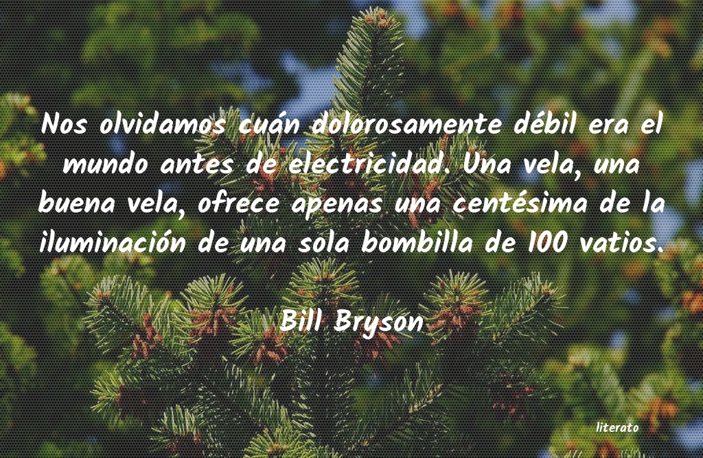 frases de Bill Bryson