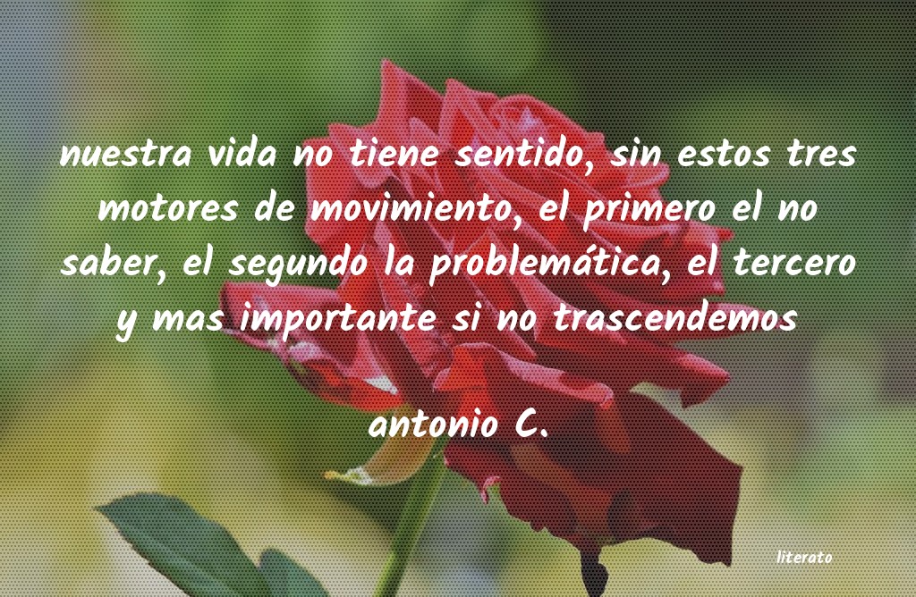 Frases de antonio C.