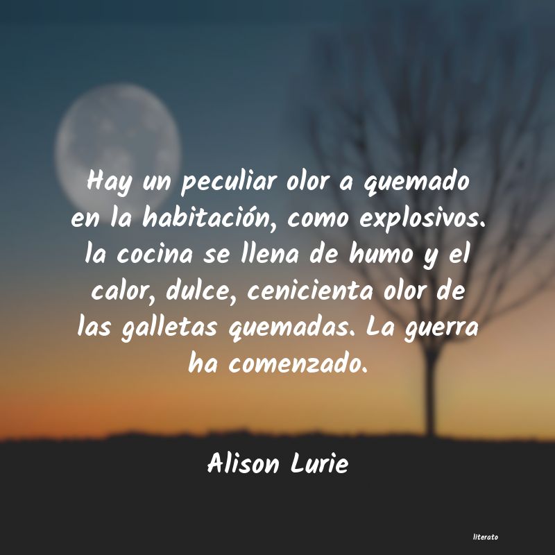 frases de Alison Lurie