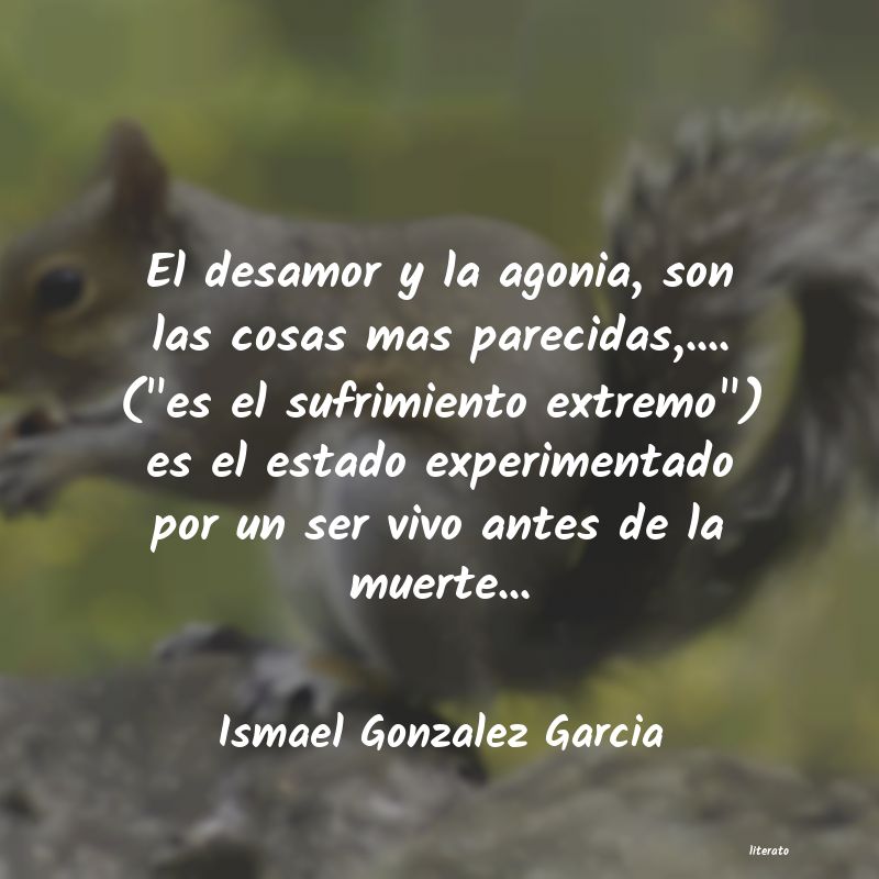 Frases de Ismael Gonzalez Garcia