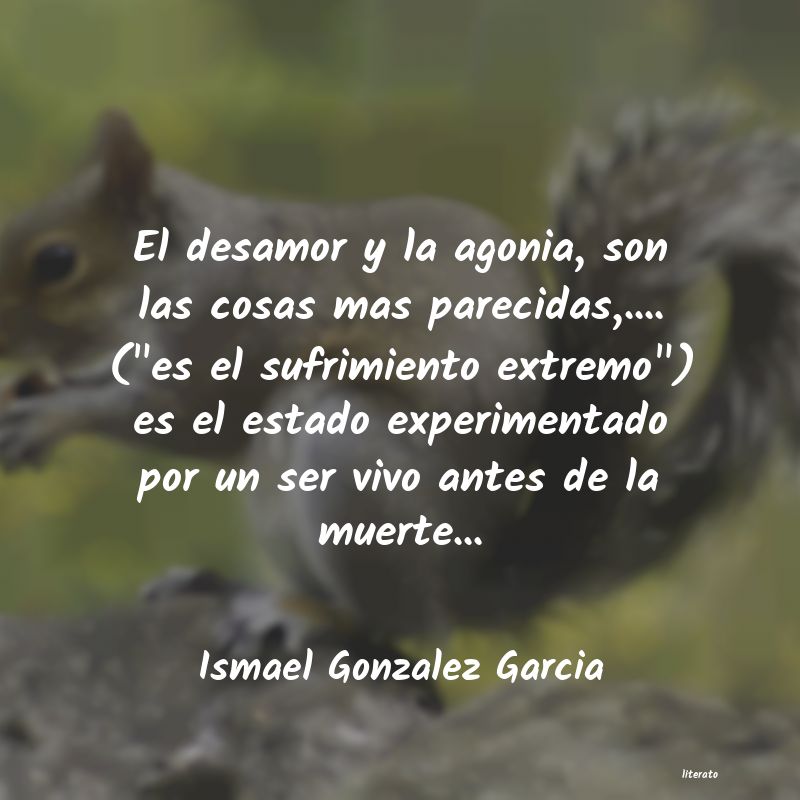 frases de Ismael Gonzalez Garcia