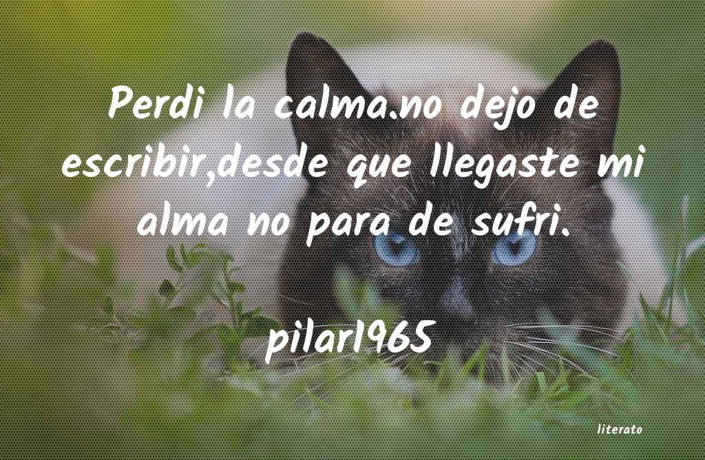 Frases de pilar1965