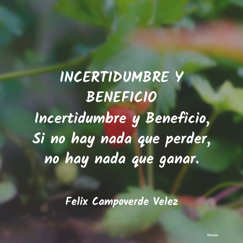frases de Felix Campoverde Velez