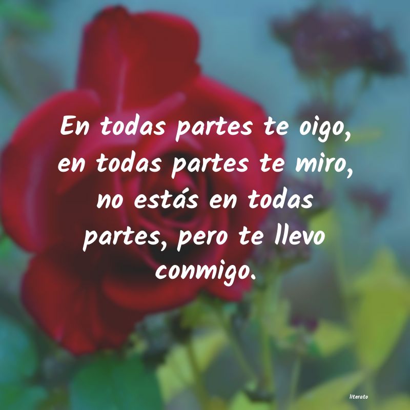 frases de puedes contar conmigo