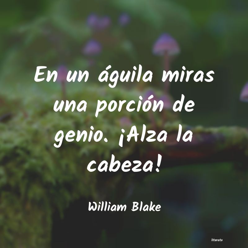 Frases de William Blake