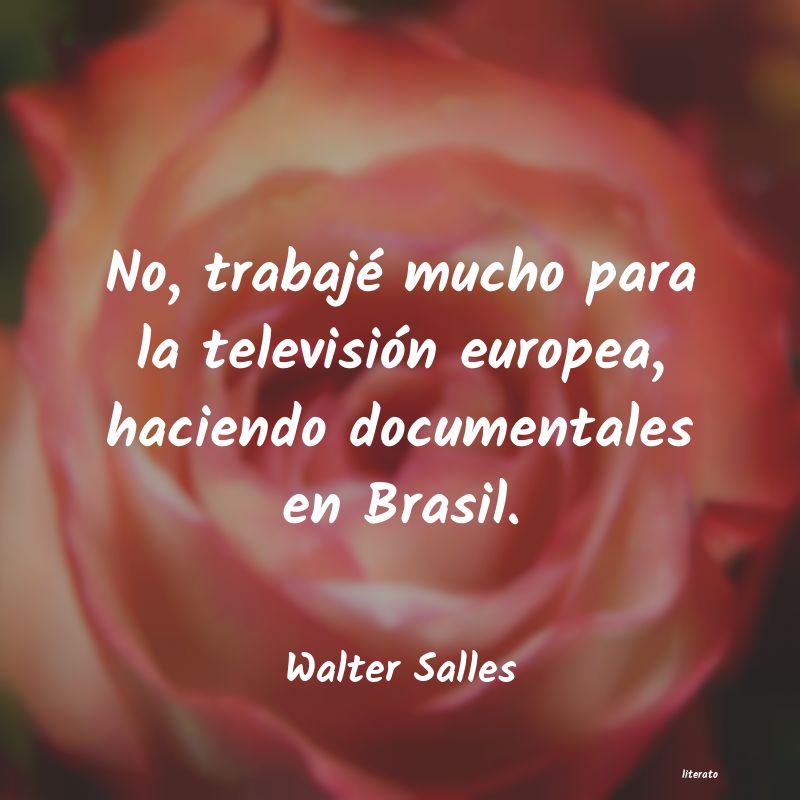 frases de Walter Salles