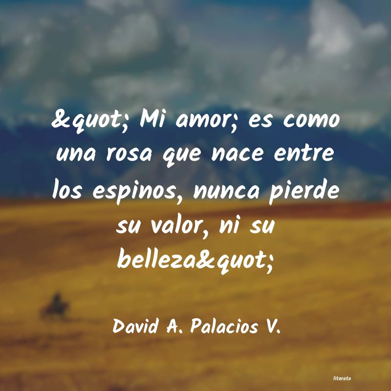 Frases de David A. Palacios V.