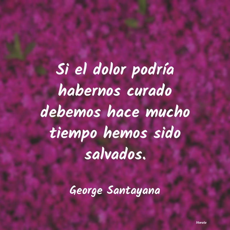 frases de George Santayana