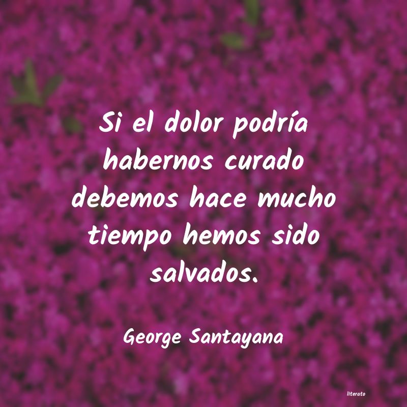 Frases de George Santayana