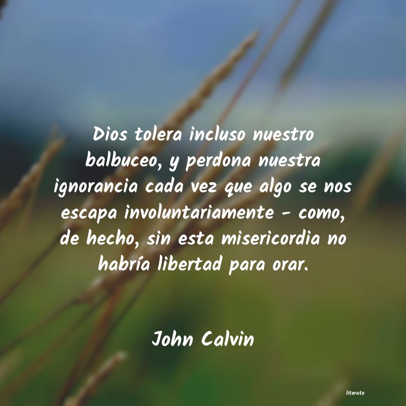 Frases de John Calvin