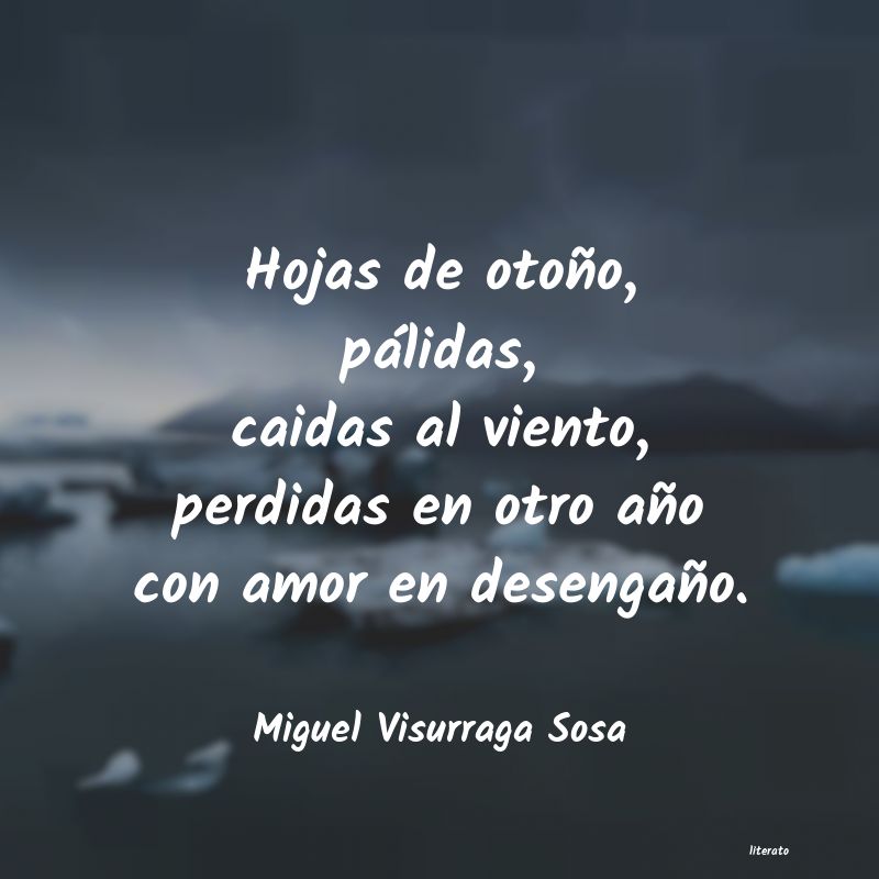 Frases de Miguel Visurraga Sosa