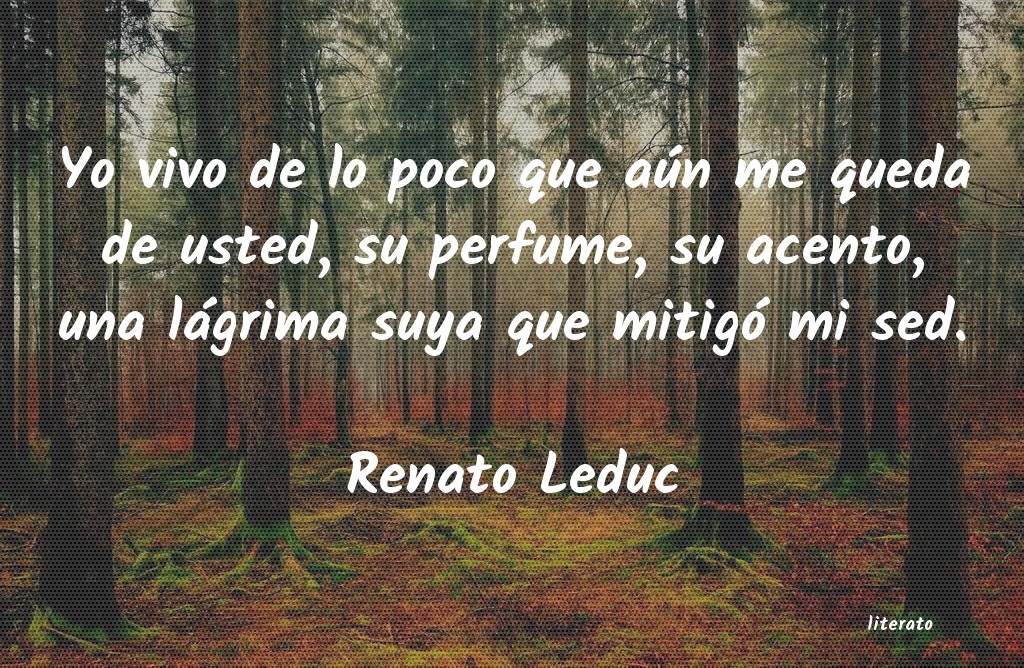 Frases de Renato Leduc