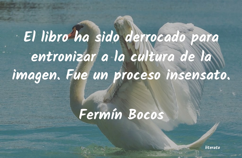 Frases de Fermín Bocos