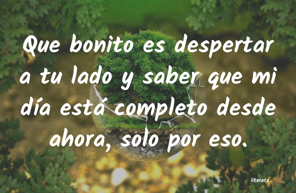 frases