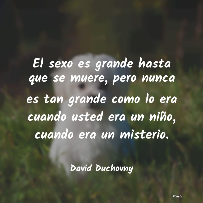 frases de David Duchovny