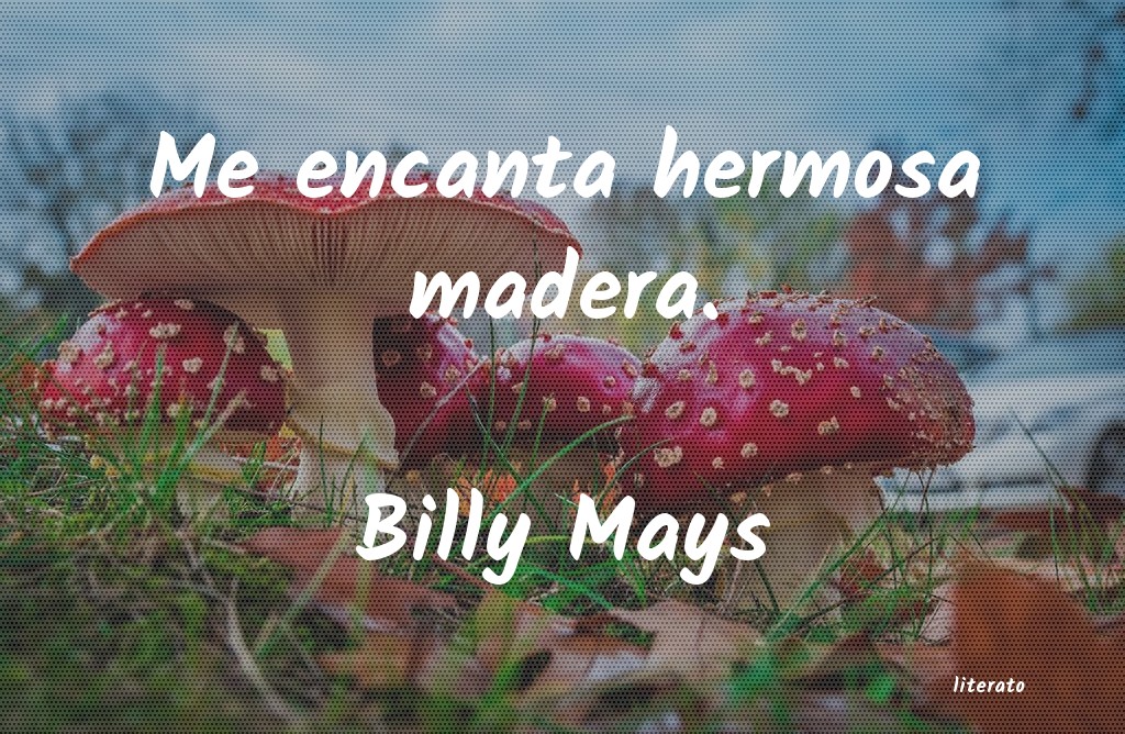 frases de Billy Mays