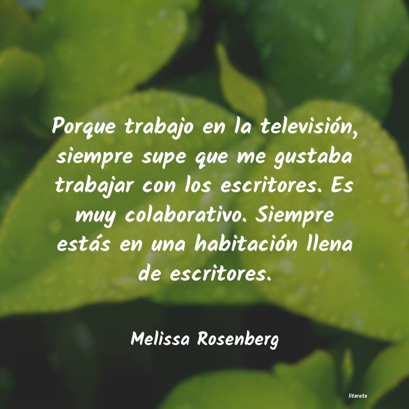 Frases de Melissa Rosenberg