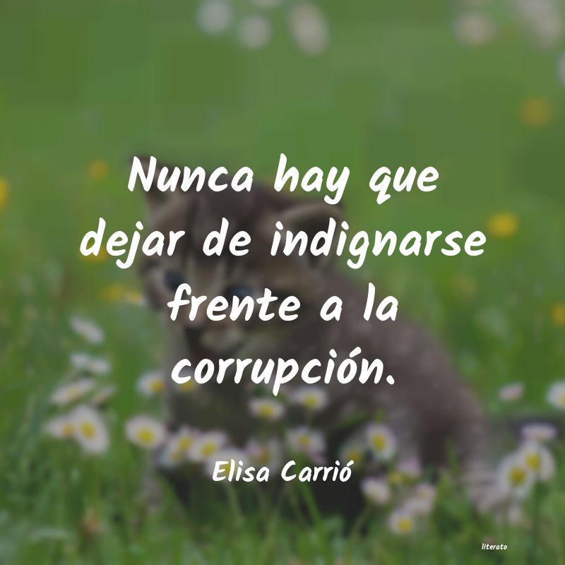 Frases de Elisa Carrió