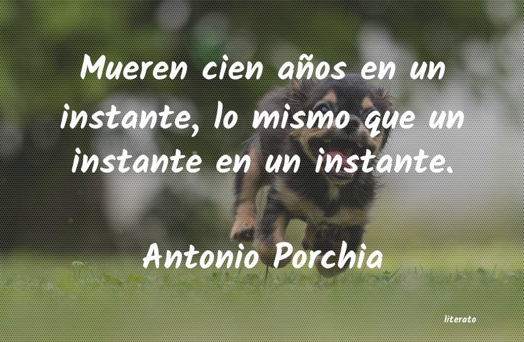 Frases de Antonio Porchia