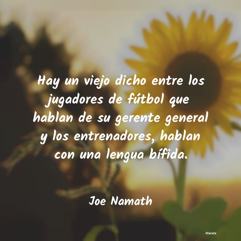 Frases de Joe Namath