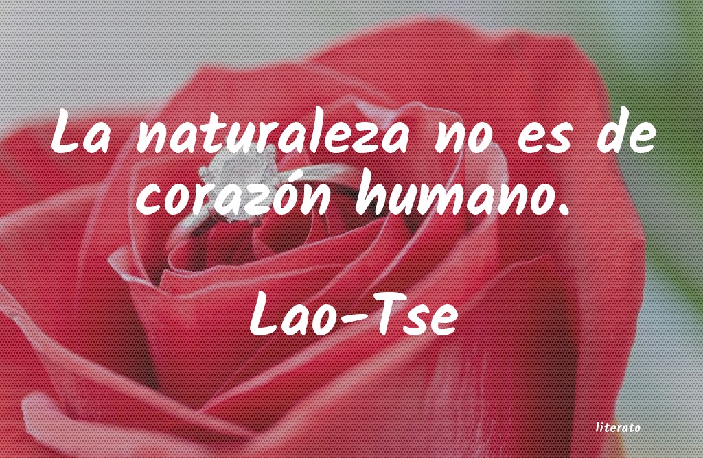 Frases de Lao-Tse